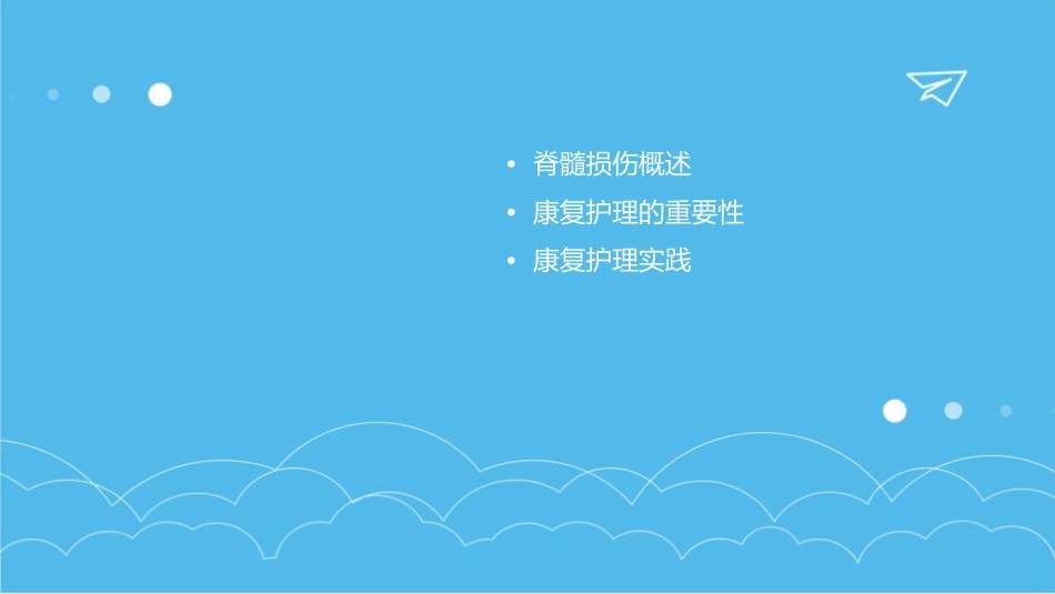 脊髓损伤康复业务学习护理课件_第2页