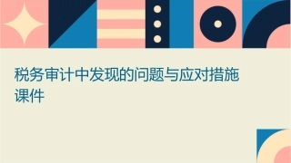 税务审计中发现的问题与应对措施课件