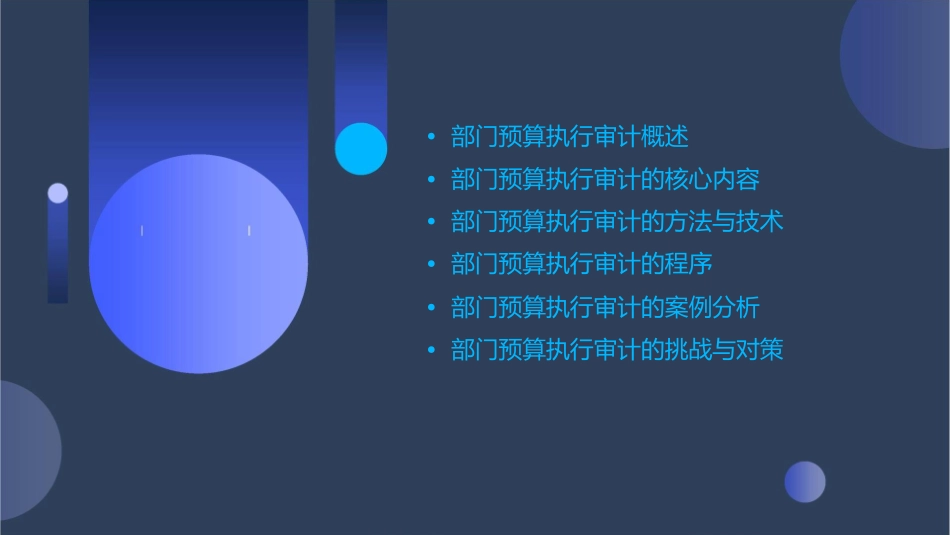 部门预算执行审计的重点(51页)课件_第2页