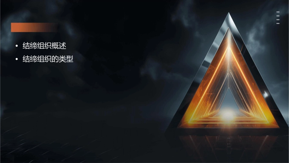 结缔组织组织学与胚胎学课件_第2页