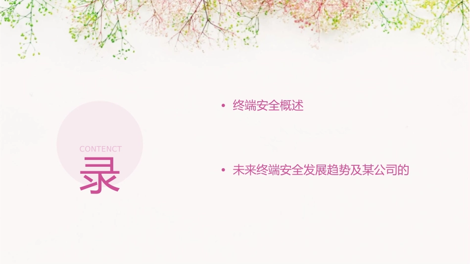 某公司终端安全解决方案课件_第2页