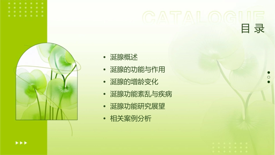 涎腺的功能与增龄变化课件_第2页