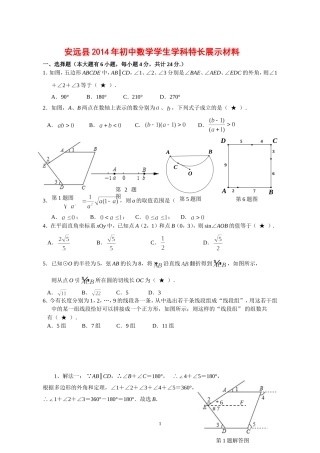 安远县2014年初中数学学生学科特长展示材料