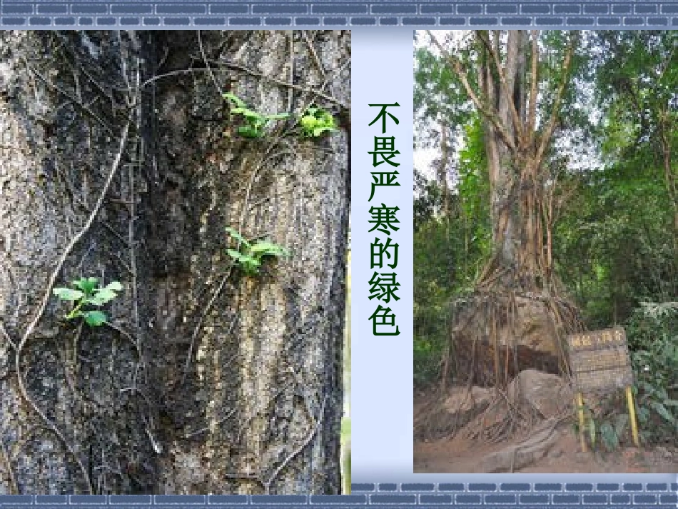 生命生命1232_第3页
