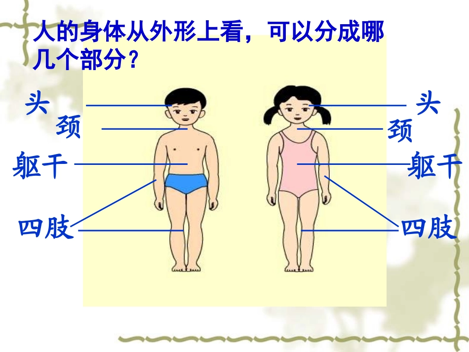 《身体的结构》_第3页