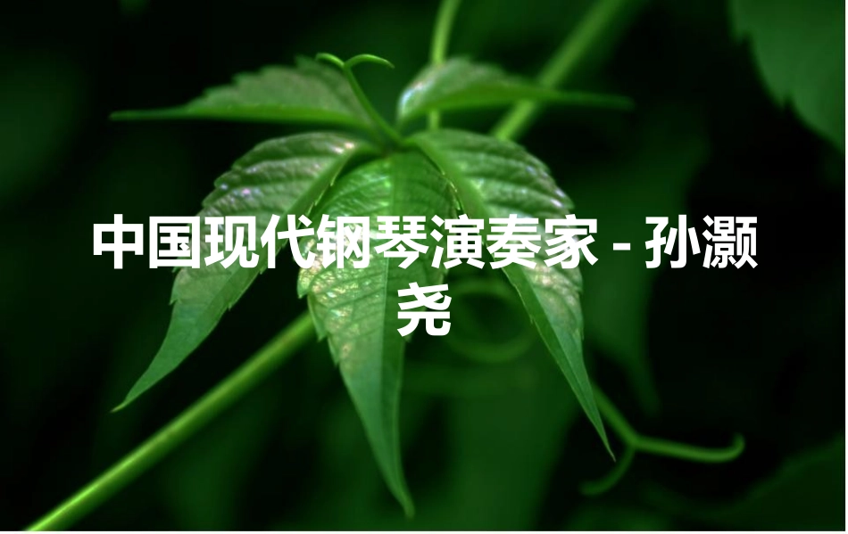 中国现代钢琴演奏家_第1页