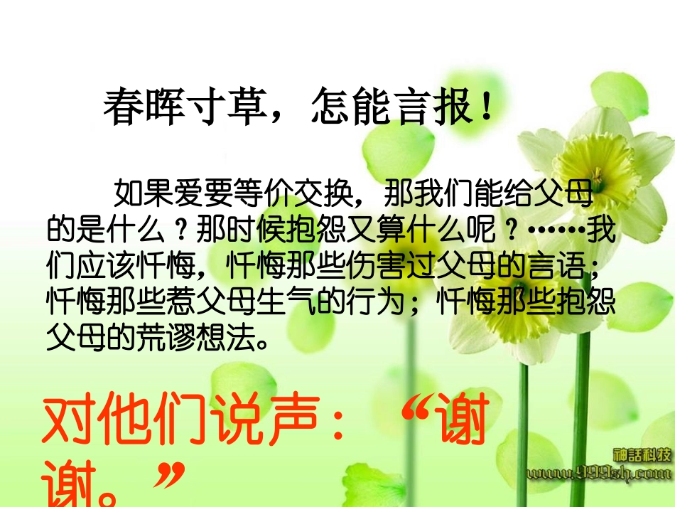 感恩父母班会课件 (3)_第3页