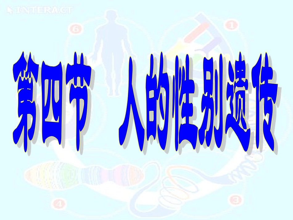 人的性别遗传_第2页