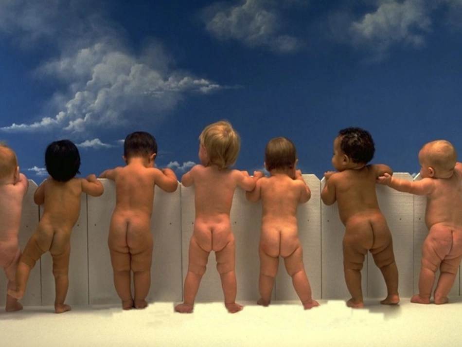 人的性别遗传_第3页