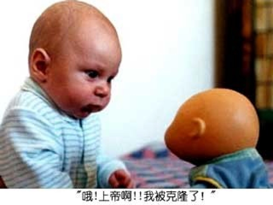 奇妙的克隆12_第2页