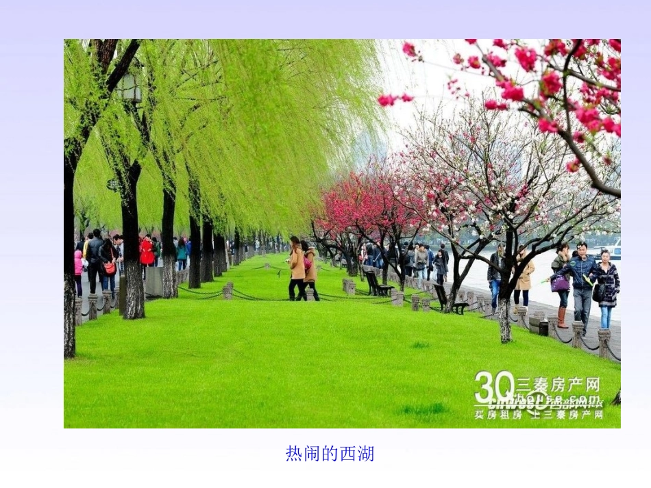 饮湖上初晴后雨(修改版)_第3页