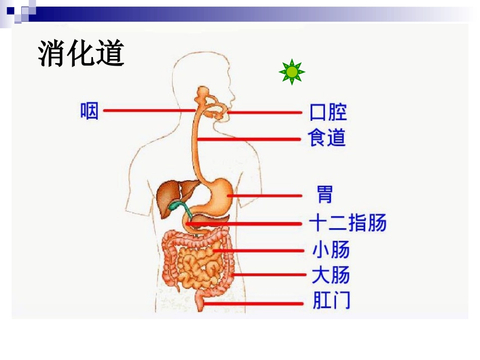 合理营养与食品安全_第2页