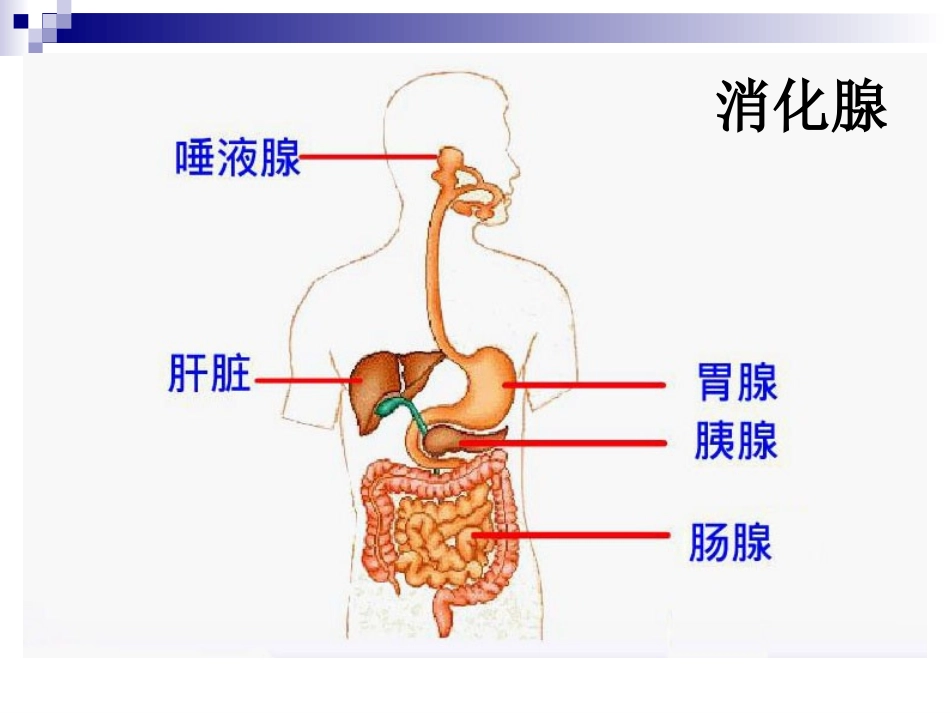合理营养与食品安全_第3页