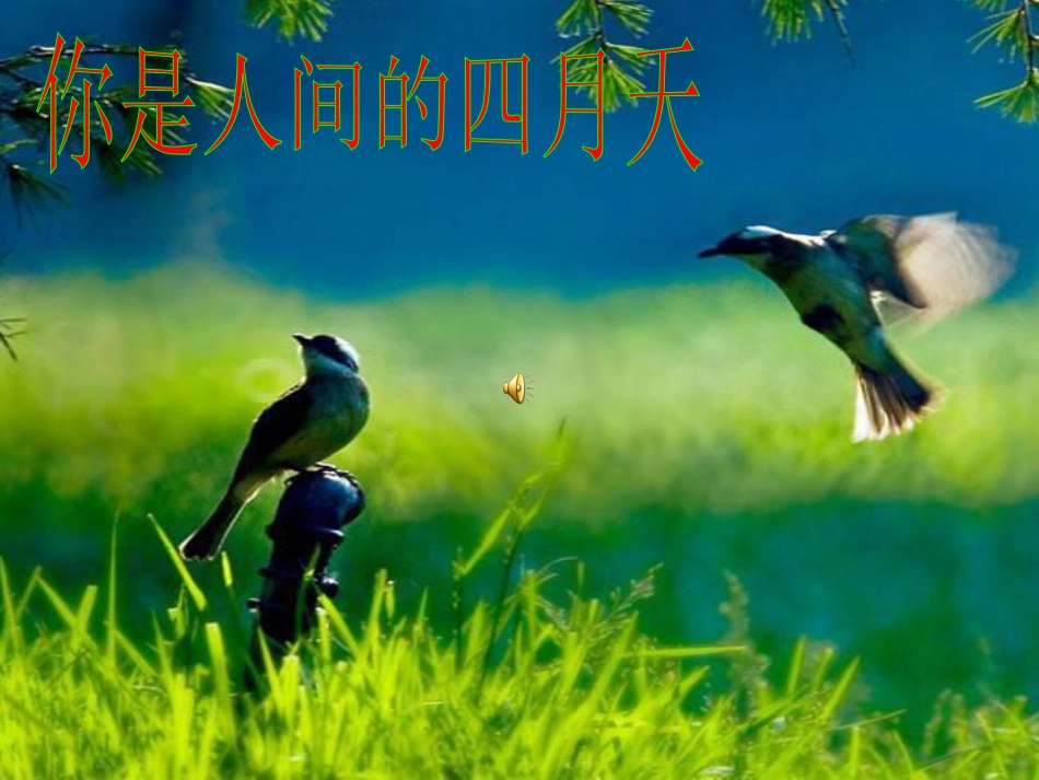 体育锻炼重在参与演示文稿1_第1页