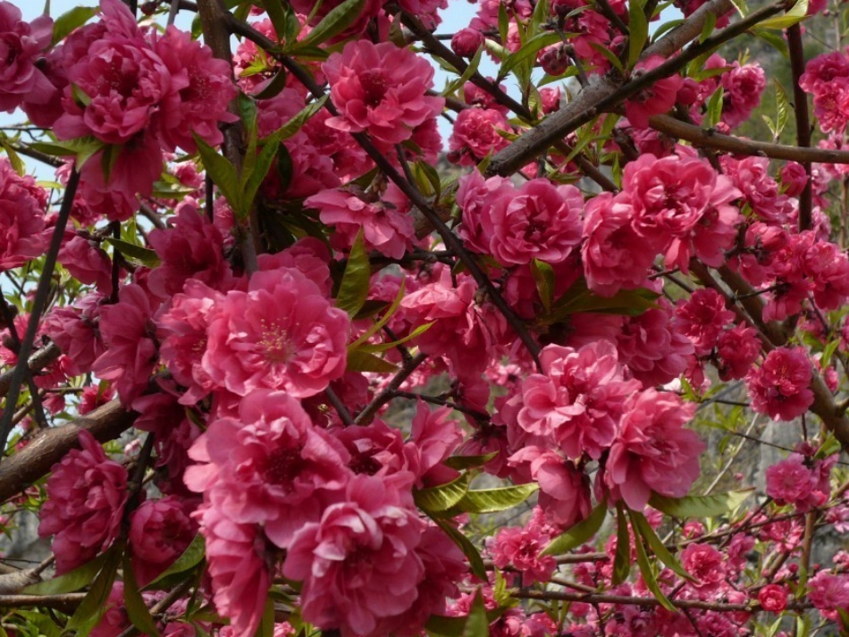 体育锻炼重在参与演示文稿1_第2页