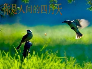 体育锻炼重在参与演示文稿1