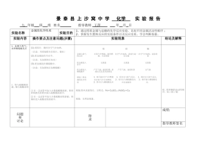 金属的化学性质实验报告