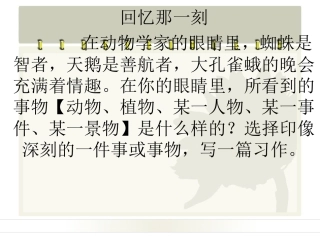 《回忆那一刻》作文