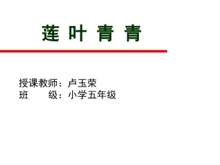 莲叶青青（正份）