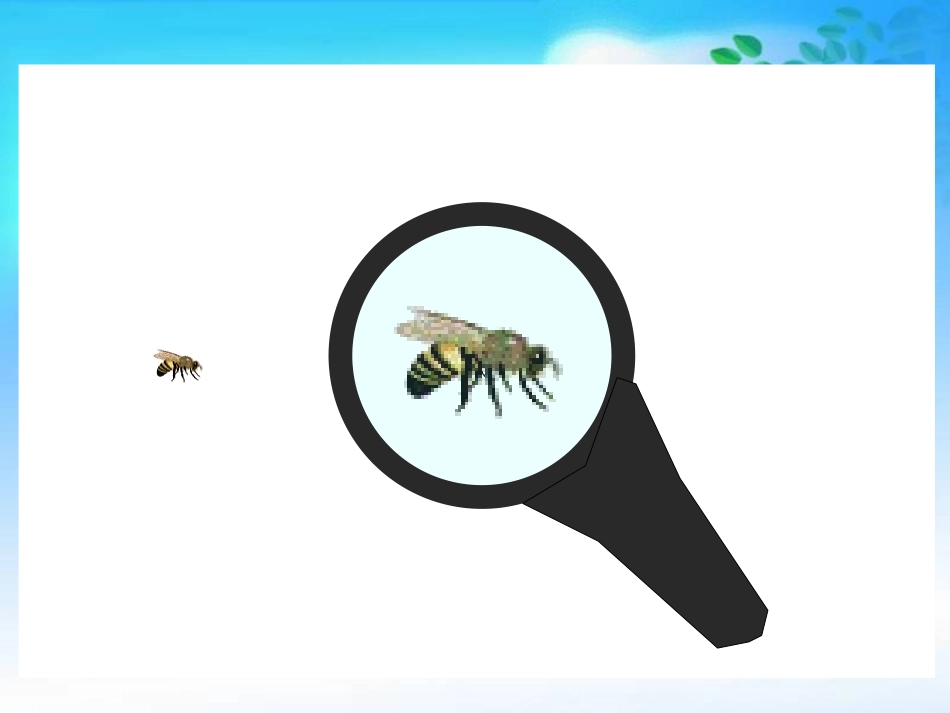 六年级数学下册《比例尺》PPT课件之三（人教版）_第3页