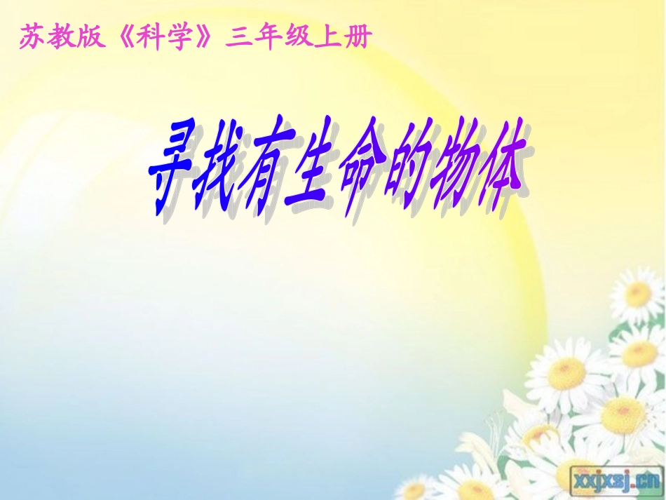 苏教版三年级上册《寻找有生命的物体》课件_第1页