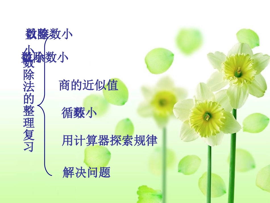 正式课件小数除法复习_第2页