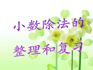 正式课件小数除法复习