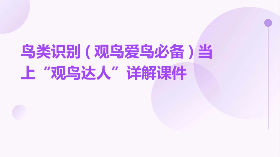 鸟类识别(观鸟爱鸟必备)当上“观鸟达人”详解课件_第1页