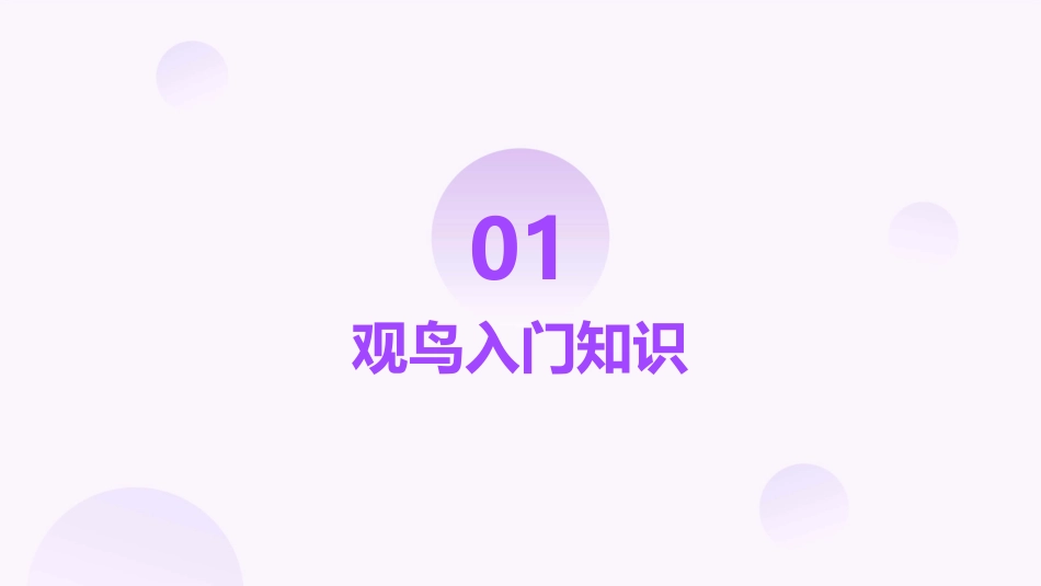 鸟类识别(观鸟爱鸟必备)当上“观鸟达人”详解课件_第3页