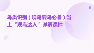 鸟类识别(观鸟爱鸟必备)当上“观鸟达人”详解课件