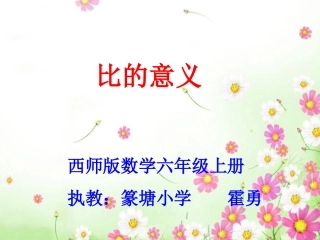 《比的意义》课件