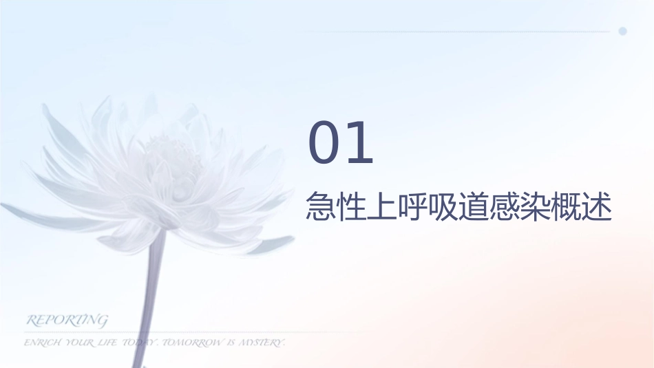 急性上感和急性支气管炎课件_第3页