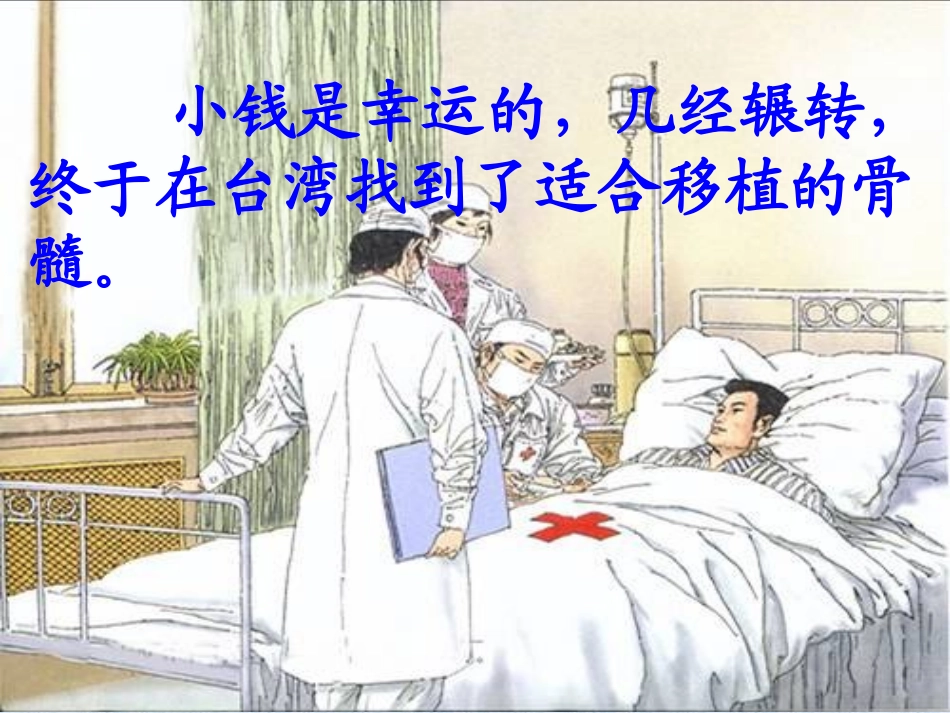 《跨越海峡的生命桥》课件 (2)_第3页