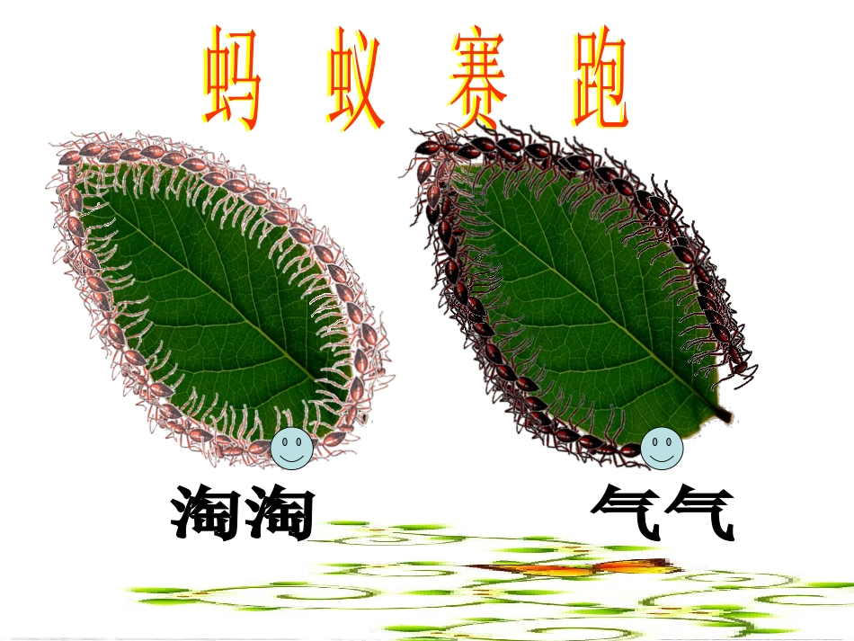 北师大版三年级数学上册《什么是周长》PPT课件_第3页