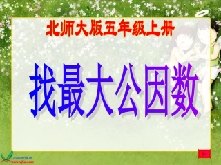 北师大版数学五年级上册《找最大公因数》PPT课件