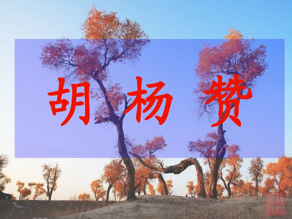 胡杨赞读写结合_第1页