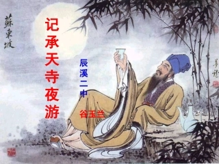 记承天寺夜游 (2)