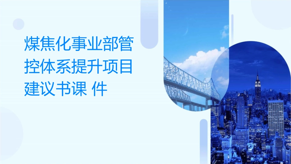 煤焦化事业部管控体系提升项目建议书课件_第1页