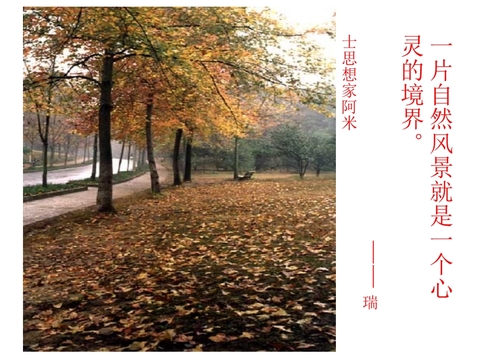 《秋天》课件（25页） (2)_第3页