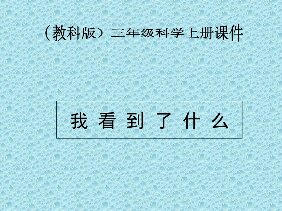 《我看到了什么》课件2_第1页