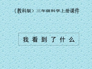 《我看到了什么》课件2