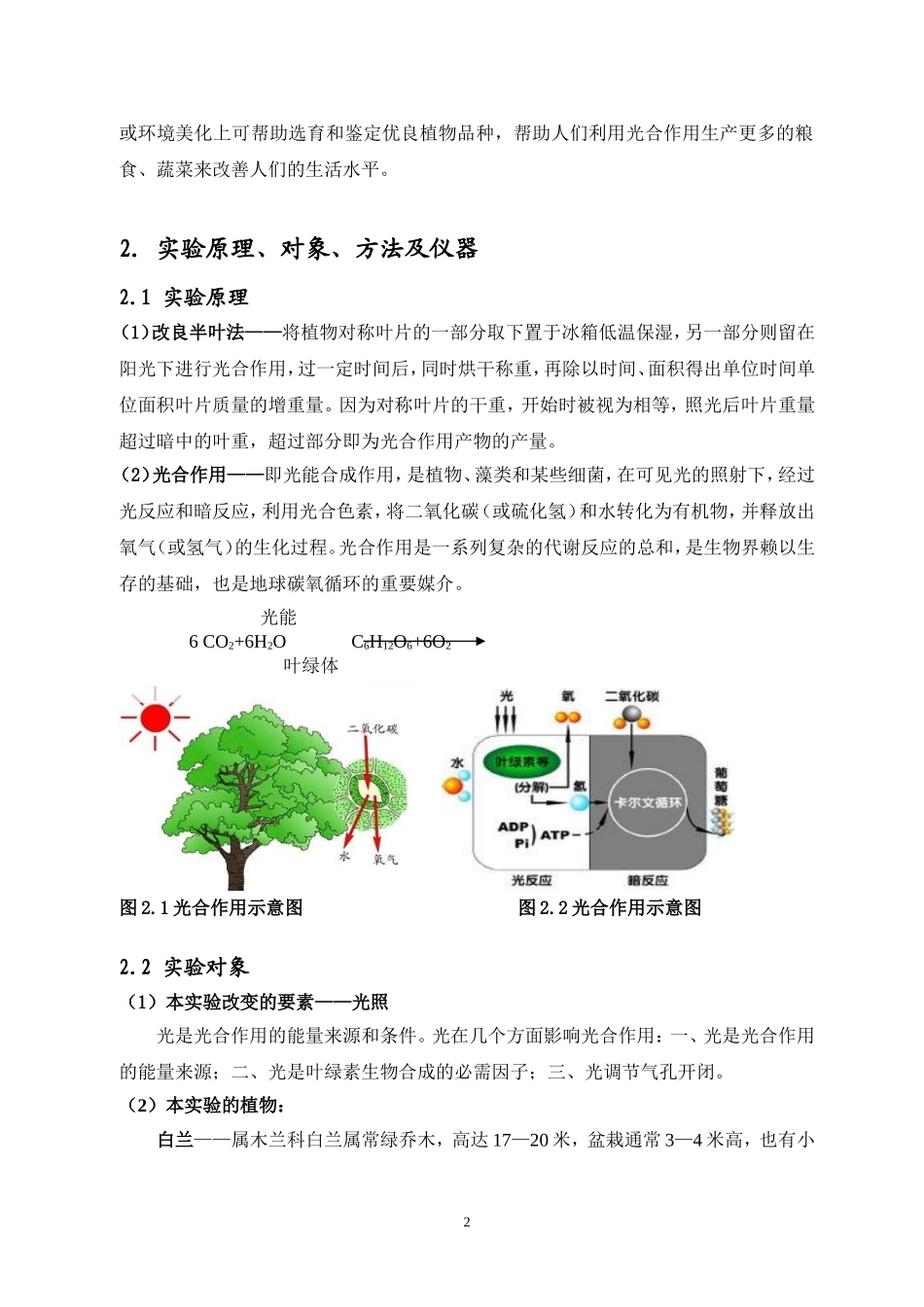 你知道我在阳光下长大的秘密吗_第2页