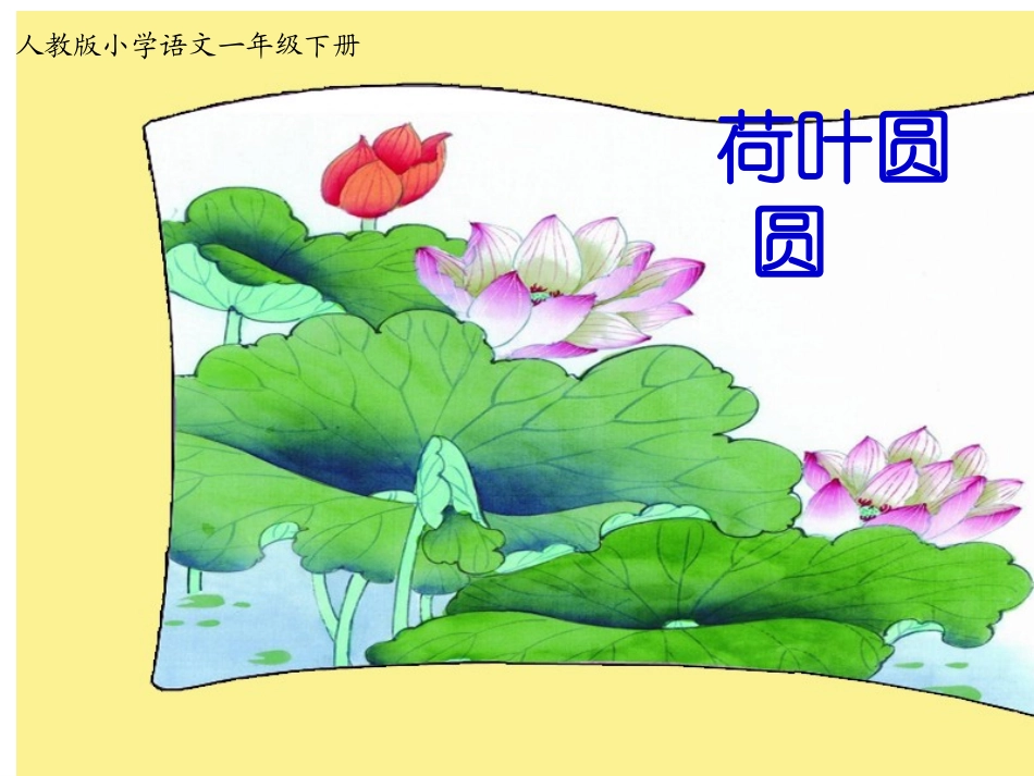 《荷叶圆圆》优质课课件_第1页