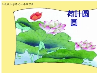 《荷叶圆圆》优质课课件