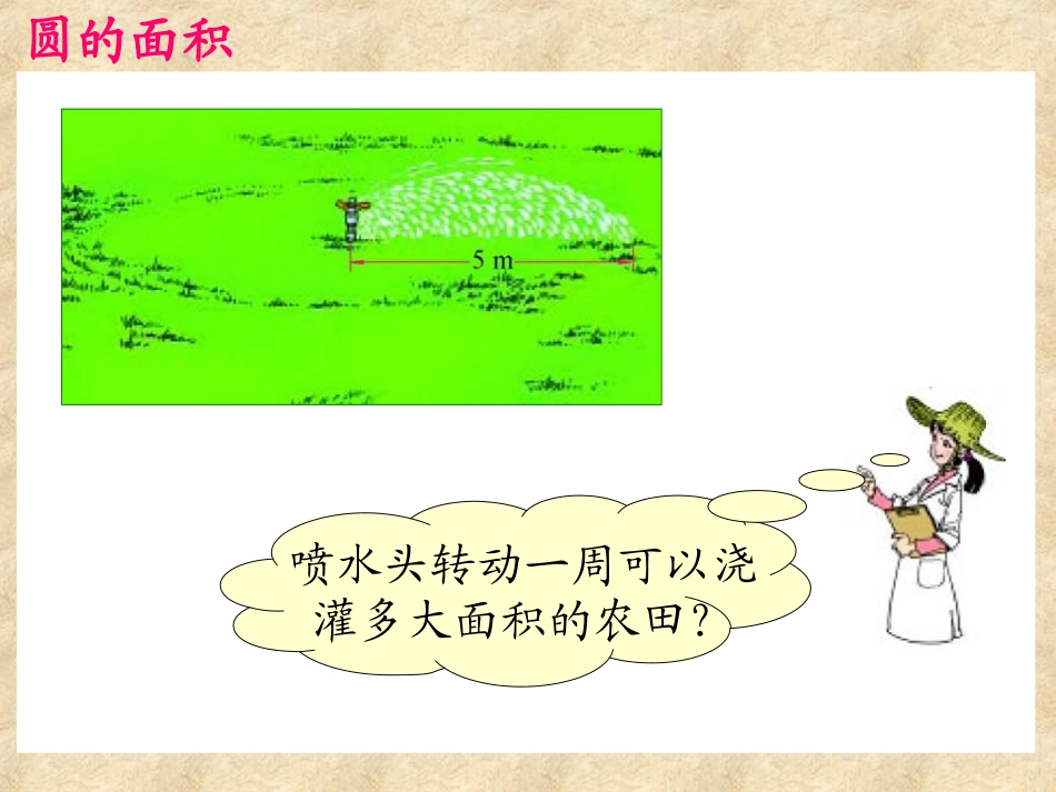 苏彩艳—数学-圆的面积课件_第2页