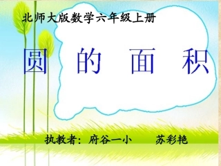 苏彩艳—数学-圆的面积课件