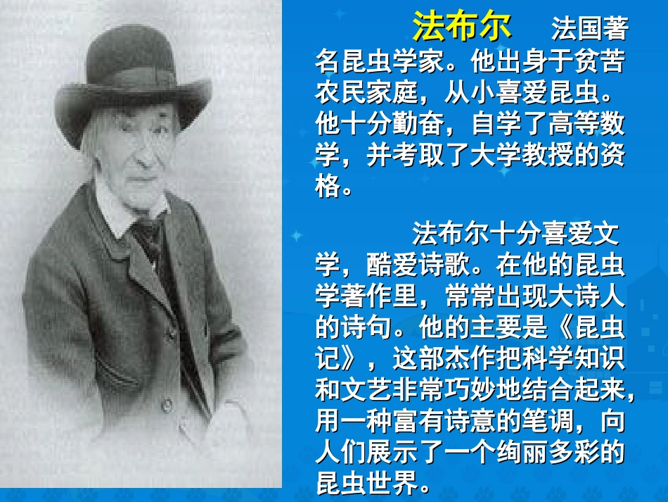 《蟋蟀的住宅》课堂演示课件 (2)_第2页