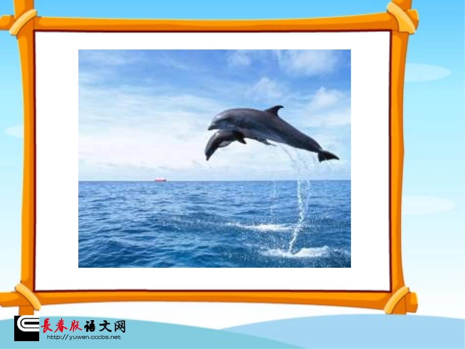 《义务领航员》PPT课件_1_第2页