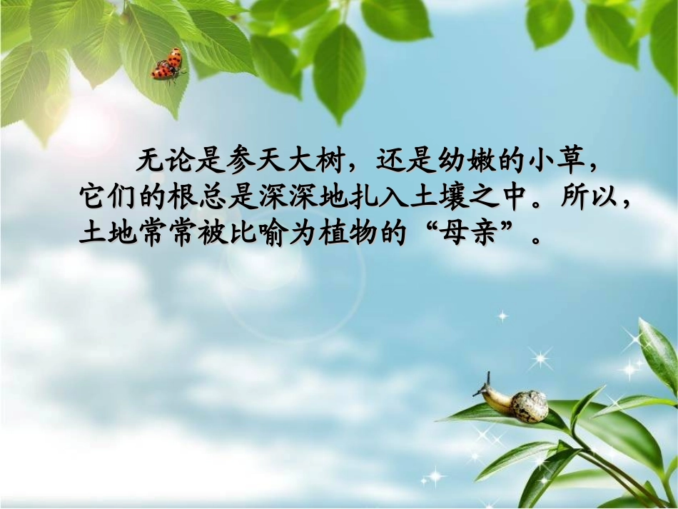 绿色植物生活需要水和无机盐1_第2页