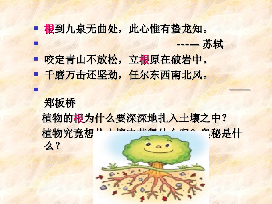 绿色植物生活需要水和无机盐1_第3页